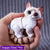 3D printed cute kitten